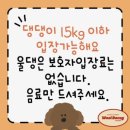 쁘니애견 | 대전 울댕카페 방문 후기, 애견동반 카페 추천