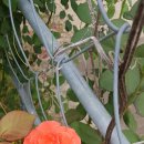 단성면 복지회관 이미지