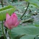 알천북로(남) 이미지