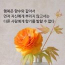 빛나는하루 이미지