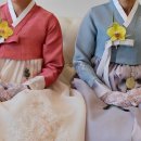 럭스플로스 이미지
