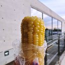 부라더옥수수앤김치(운정점)