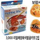 보람사 이미지