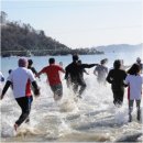 거제도국제펭귄수영축제 | 제15회 거제도국제펭귄수영축제 | 겨울바다 체험과 황금물고기 잡기까지!
