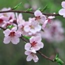 서안아파트 이미지
