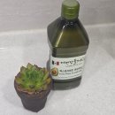 이레한우 | 더건강플러스 엑스트라버진 아보카도오일 추천 | 튀김용기름 활용법 후기