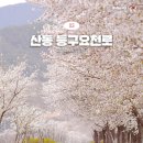 요천상로 네이버블로그