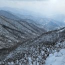 거목 네이버블로그