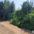 벌교철망 이미지