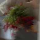 핏어팟(pit A pat) 이미지