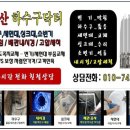 녹산화전로녹산동 이미지