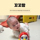 꼬꼬맘 | 육아맘 필수템, 꼬꼬맘 사용후기 솔직 리뷰