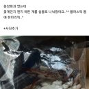 서울대 미대 정시 실기에 나온 것.jpg 이미지