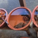 서귀어촌계 이미지