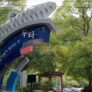 양구군청(두타연 평화누리길) 네이버블로그