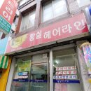 황실헤어샵 - 당진시 | 황실헤어샵