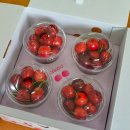 고요농장 이미지