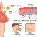 타임이비인후과의원 이미지