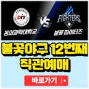 동의과학대학교 | 불꽃야구 직관 예매 가격 생중계 10월 19일 동의과학대