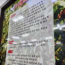 금수구지뽕삼계탕 이미지