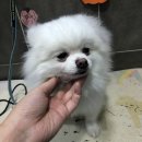 토곡동물병원 이미지