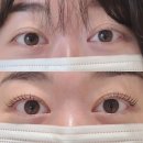 굿마트 용인약수점 | [용인/기흥 속눈썹] 금손 원장님계신 "커밍쑨" 속눈썹펌 후기💖!!!