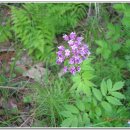 황금대박 이미지