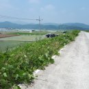 백산보건진료소 이미지