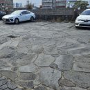 탑동산호전복 이미지
