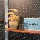 세심세무회계 이미지