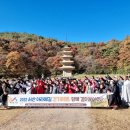 아라메길 (도비마루길) 이미지