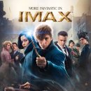 이안 메드 이미지