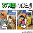 딸기체험, 키즈카페 도장깨기 (노리파크 서창, 너티차일드 시흥, 리틀치프 광명, 리틀베프 광명, 롤리키즈)