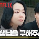 서이교육