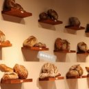 몽트리에 이미지