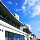 운수 | [경북/경주] 감포수협활어직판장 6호 태운수산 회포장 후기