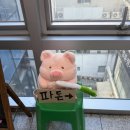 화니유통 | 하남맛집 특수부위전문점 파돈 솔직후기