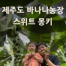 제일농장 | 스위트몽키 바나나 농장 체험 후기