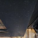 이화여대길 이미지