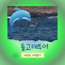 동일리-4 | 제주 돌고래투어 스팟 힐링투어 유람선 서쪽 여행