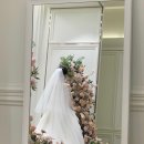 로젤리스냅 이미지