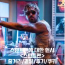 스턴트맨 정보 출연진 관람평점 줄거리 리뷰 결말 후기 스포 쿠키 블록버스터 액션영화추천
