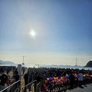 남항대교 | 푸른 바다 위를 걷다｜제16회 남항대교 걷기대회 후기