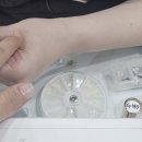 [신사역네일] 노란 생화로 완성한 봄 향기 가득 신사 ON네일 이달의 아트 후기