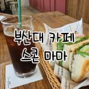 스콘마마 이미지