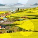 어반 드로잉 이미지