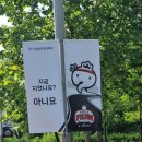 M.Park 9 (8관) | 2025 무한도전 20주년 기념 무도런!!! 마라톤, 특별공연 후기 (공연 영상)