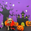 송파위례유치원 이미지