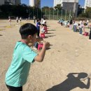 부주초등학교 이미지