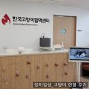 한국고양이혈액센터 | 고양이 헌혈 2회차 <한국고양이혈액센터>